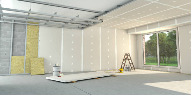 Best Insulation Removal  in Slater Marietta, SC