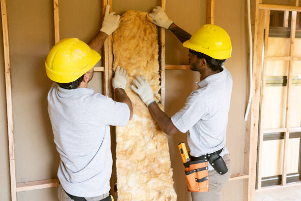 Best Blown-in Insulation  in Slater Marietta, SC