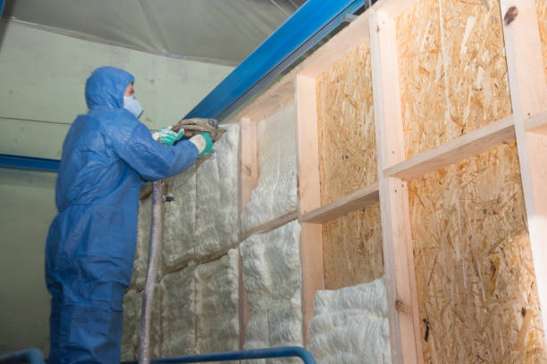 Insulation Repair Services in Slater Marietta, SC